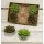 Motiv-Teelicht Dach-Hauswurz, 6er-Set, Material: Wachs, Maße ca. Ø 4  x 3 cm, Farbe: grün
